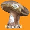 Espa�ol